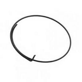 FULCRUM Pawl Springs (5 Pezzi)