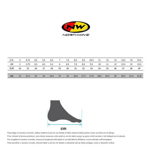 bell sanction nitro circus helmet