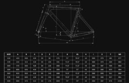 Bianchi OLTRE RACE Shimano 105 Di2 2026 (53cm, CK16 Celeste Metallic)